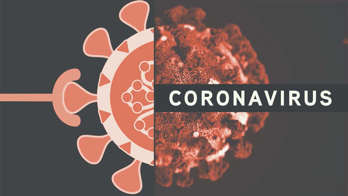 Studying Coronaviruses