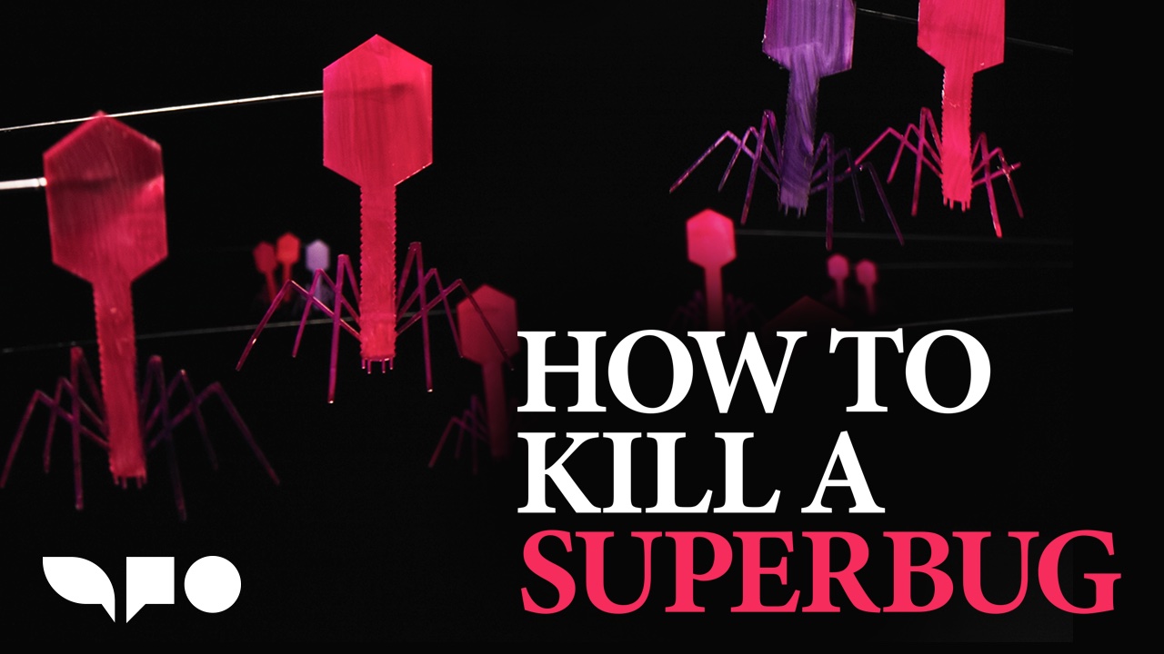 How to Kill a Superbug
