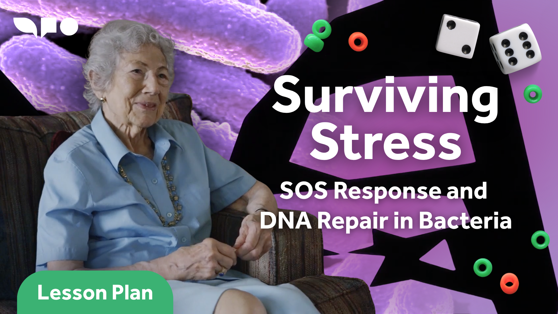 Surviving Stress: SOS Response and DNA Repair in Bacteria