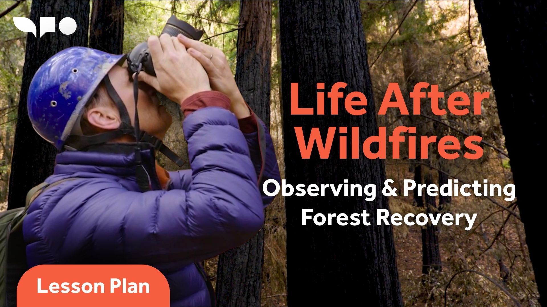 Life After Wildfires: Observing and Predicting Forest Recovery
